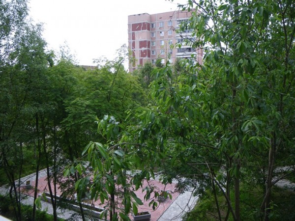 m_IMGP5304.jpg