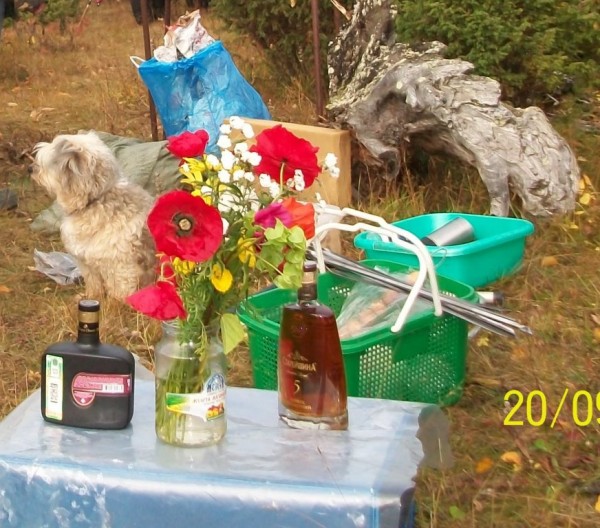 100_4525.JPG