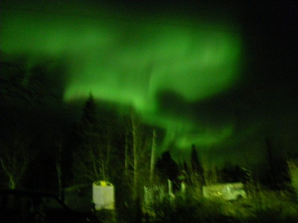m_IMGP5390.jpg