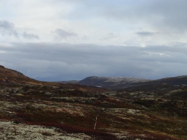DSC01624.JPG