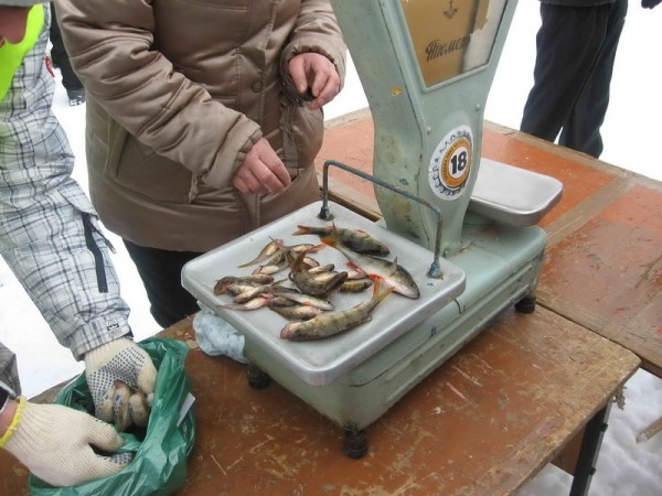 img 073_новый размер.jpg