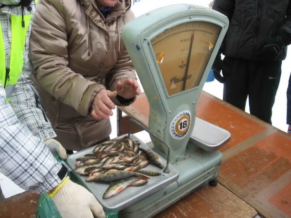 img 074_новый размер.jpg