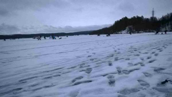 Пяйве_ 29 11 2015_2.jpg