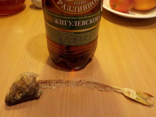 Новая_DSCN0673.JPG