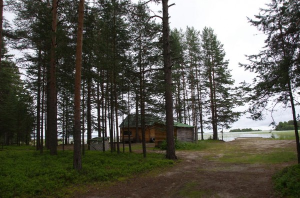 DSC_0001_новый размер.jpg