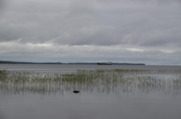 DSC_0003_новый размер.jpg