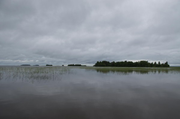 DSC_0007_новый размер.jpg