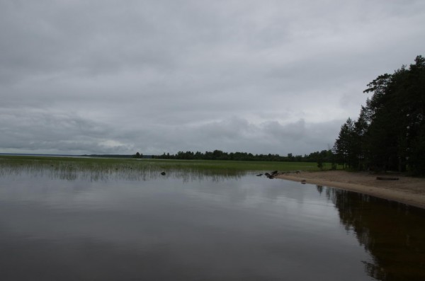 DSC_0008_новый размер.jpg