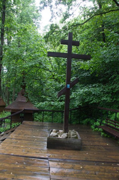 DSC_0450_новый размер.jpg