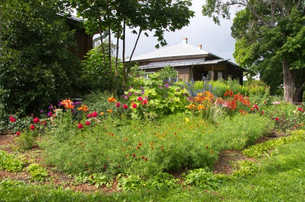 DSC_0458_новый размер.jpg