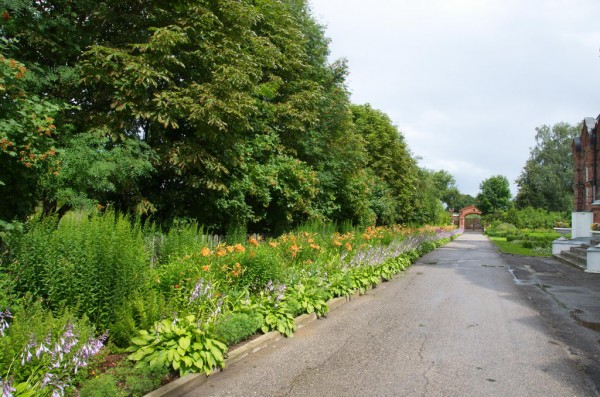 DSC_0469_новый размер.jpg