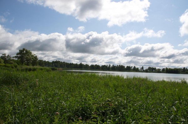 DSC_0691_новый размер.jpg