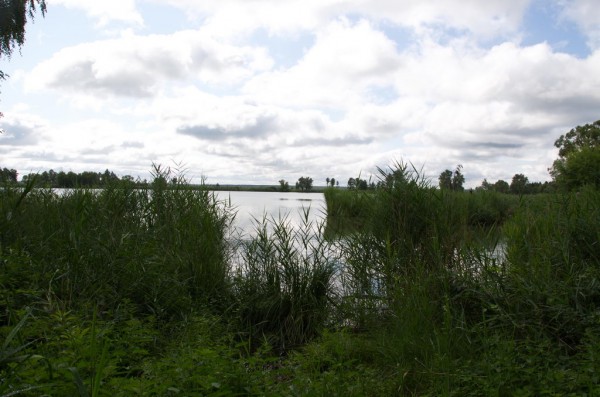 DSC_0695_новый размер.jpg