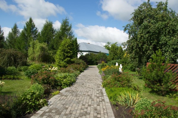 DSC_0703_новый размер.jpg