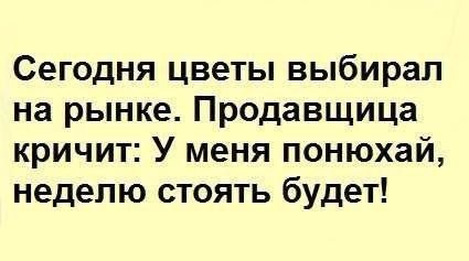wzlITst2AfY.jpg