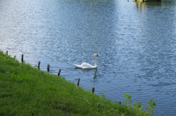 DSC_0746_новый размер.jpg