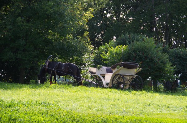 DSC_0758_новый размер.jpg