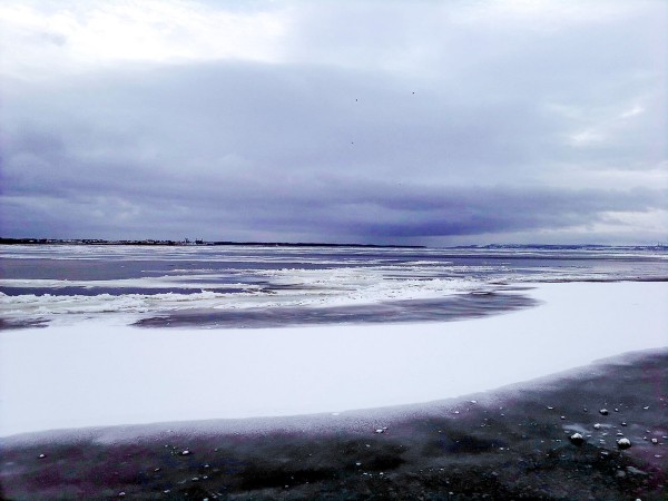 р.Волга(г.Саратов), 12.2015 (15).jpg