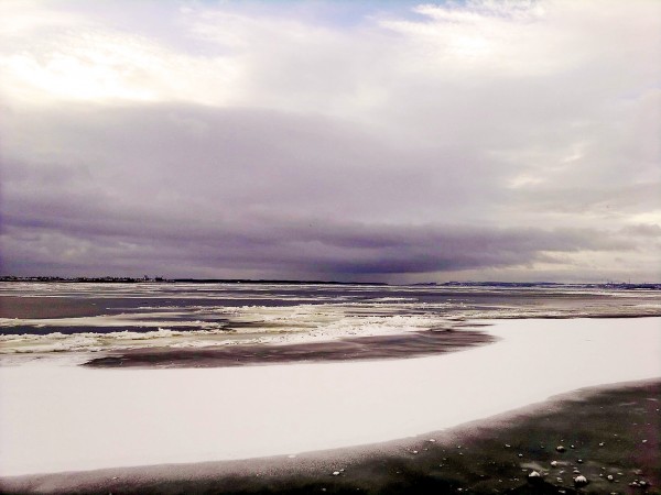 р.Волга(г.Саратов), 12.2015 (17).jpg