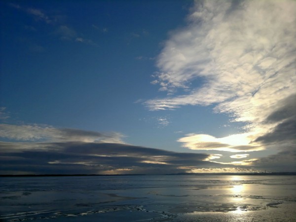 3697 (3).jpg