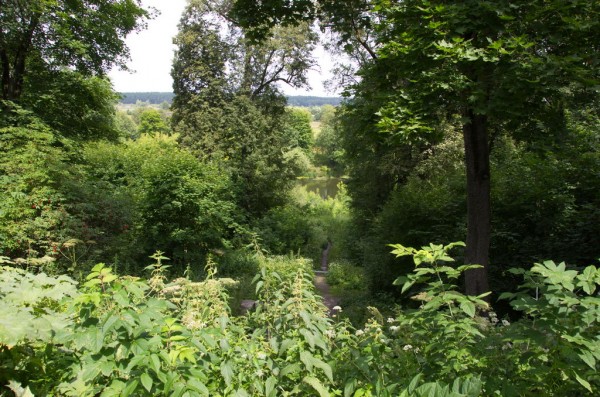 DSC_0851_новый размер.jpg