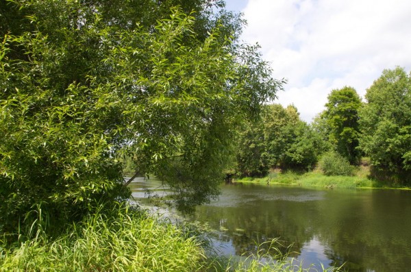 DSC_0855_новый размер.jpg