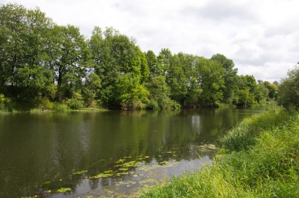 DSC_0856_новый размер.jpg