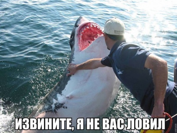 FwTAP5sO5yI.jpg