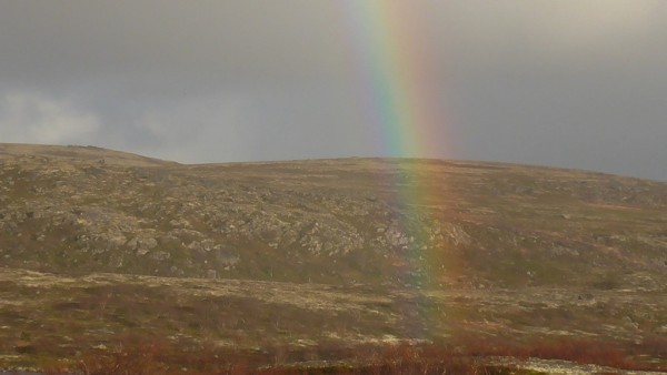 S1240002.JPG