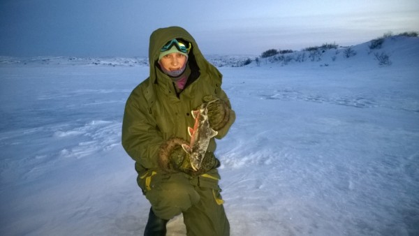 WP_20160102_003.jpg