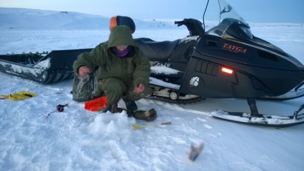 WP_20160102_005.jpg