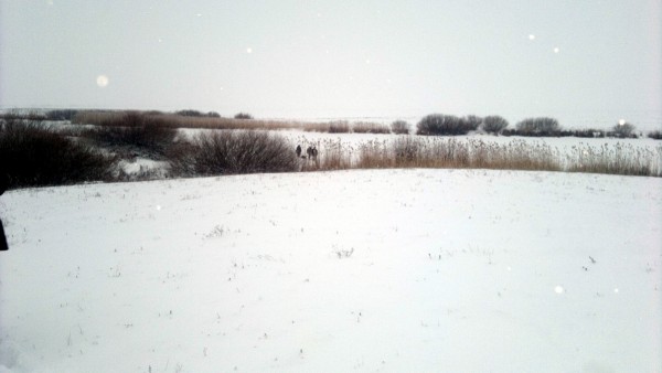 090120168473.jpg