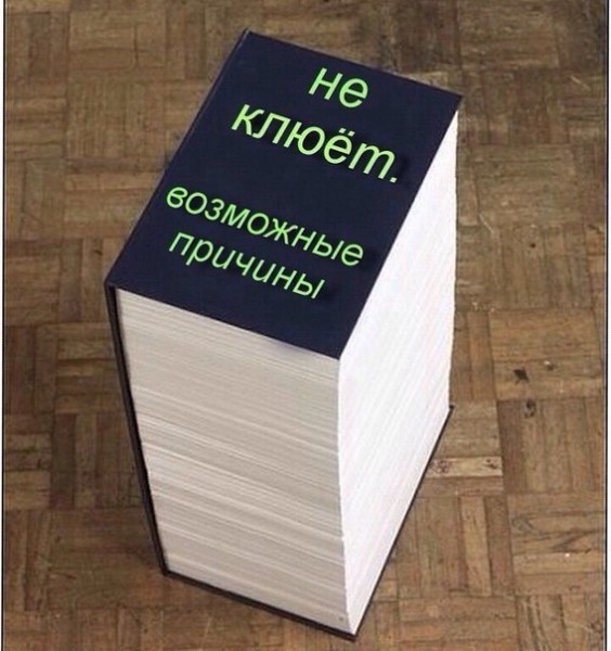 e0Djsq6NnCk.jpg