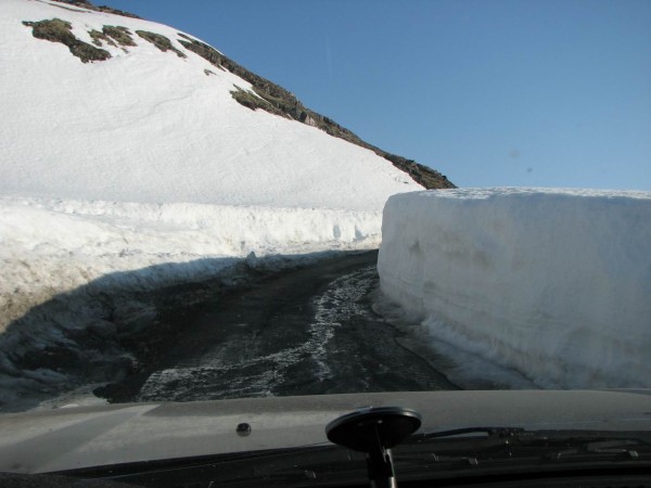 Изменение размера IMG_1251.jpg