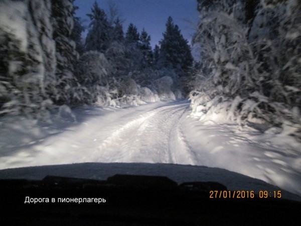 Чаячьи 2 (1).JPG