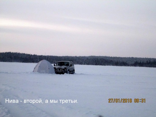 Чаячьи 2 (5).JPG