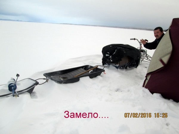 3 яб на Барсе (4).JPG