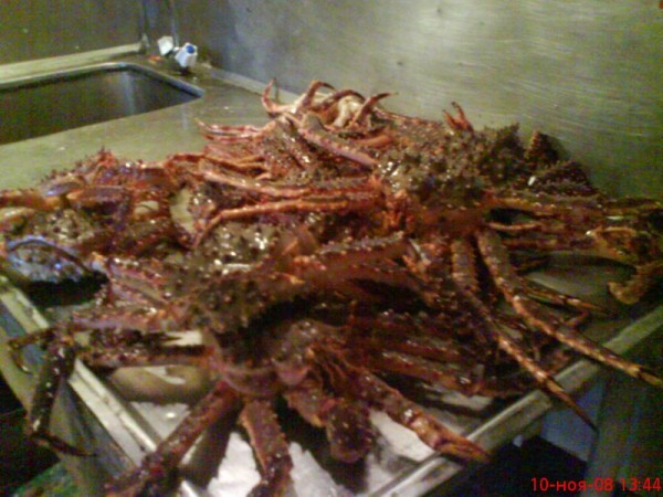 Копия DSC00395.JPG