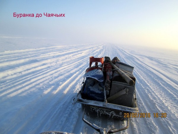 Чаячьи 5 (12).JPG