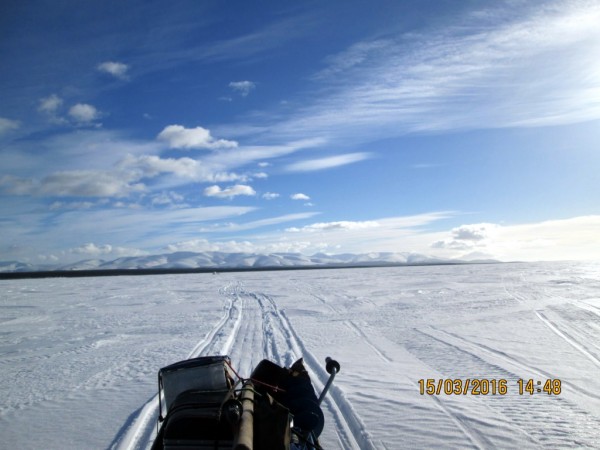 Печгуба 2 (7).JPG