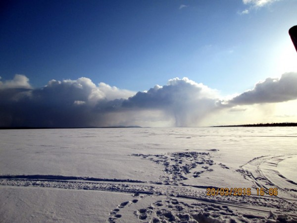 Печгуба 3 (2).JPG