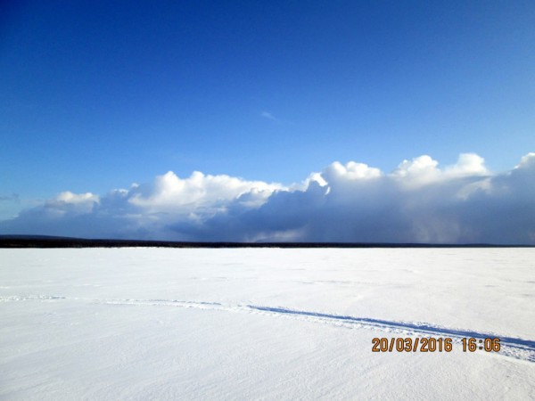 Печгуба 3 (3).JPG