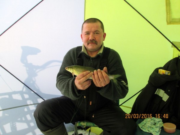 Печгуба 3 (4).JPG