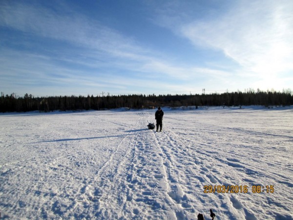 ЯБ без Барсика (2).JPG