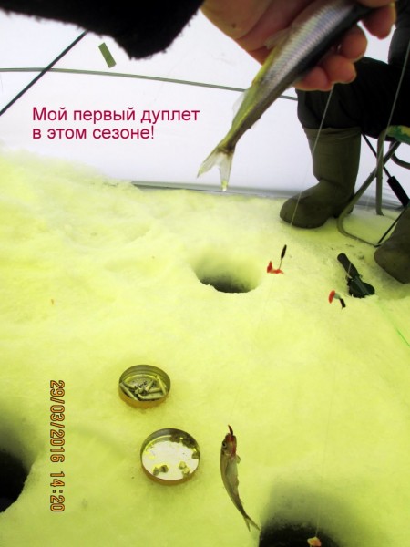 ЯБ без Барсика (4).JPG