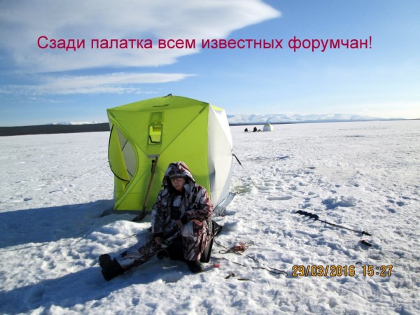 ЯБ без Барсика (5).JPG