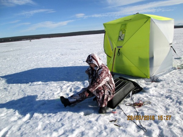 ЯБ без Барсика (7).JPG