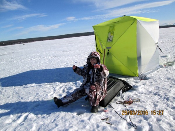 ЯБ без Барсика (8).JPG