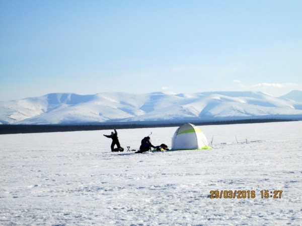 ЯБ без Барсика (6).JPG