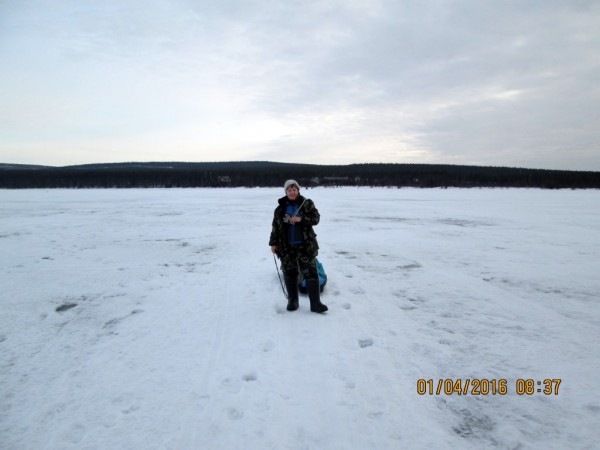 ЯБ3-весна (1).JPG